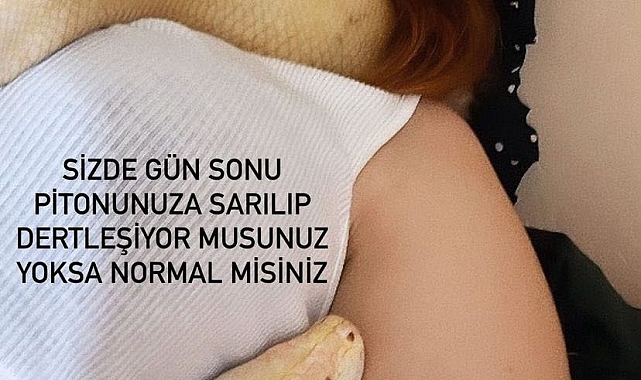 Genç kız el konulan dev pitonun geri verilmesini istedi: "Evcil, zararı yok"