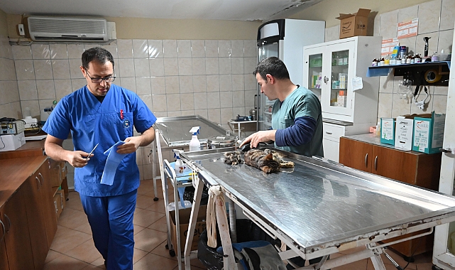 Kemer Belediyesi’nden “Can dostlarına” yardım eli