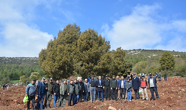 Korkuteli'de 2 bin fidan toprakla buluştu