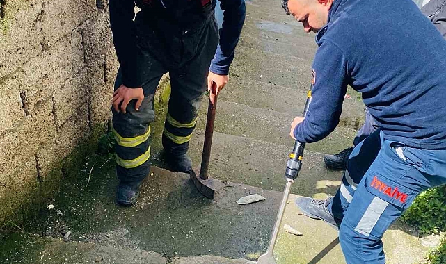 Mazgalın içerisinde mahsur kalan kediyi itfaiye ekipleri kurtardı