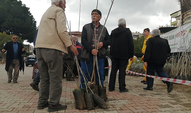 Mersin'de 6 bin fidan ücretsiz dağıtıldı
