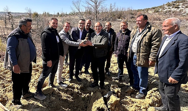 Mersin'de biberiye fidanları toprakla buluşturuldu