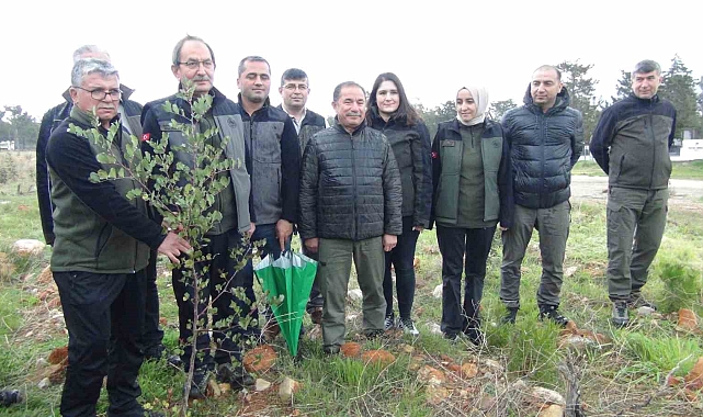 Mersin'de yanan 12 bin 946 hektar ormanlık alana 4 milyon fidan dikildi