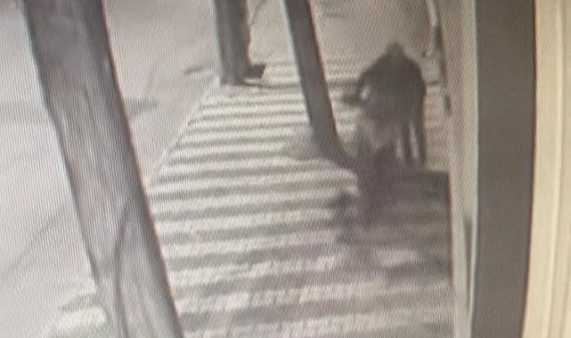Motosiklet hırsızlığı yapan şahıs güvenlik kameralarına yansıdı