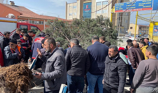 Seçim çalışmasında üzerine ağaç devrilen başkan adayının ayağı kırıldı