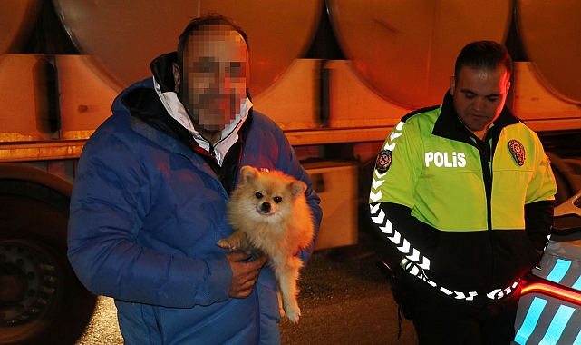 Sürücüyle polisler arasında ilginç diyalog