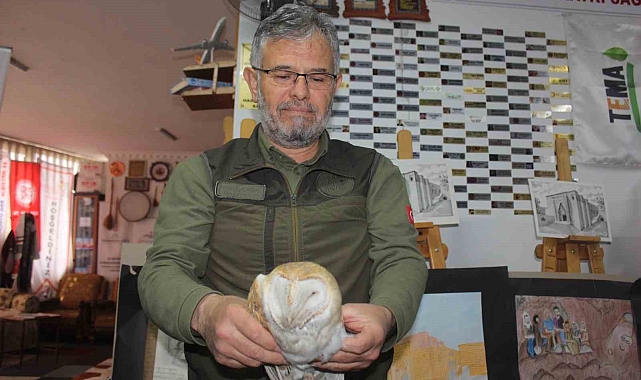 Yaralı bulunan peçeli baykuş, doğa koruma ekiplerine teslim edildi
