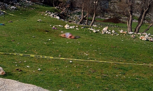 3 köpeğin saldırdığı kadın öldü