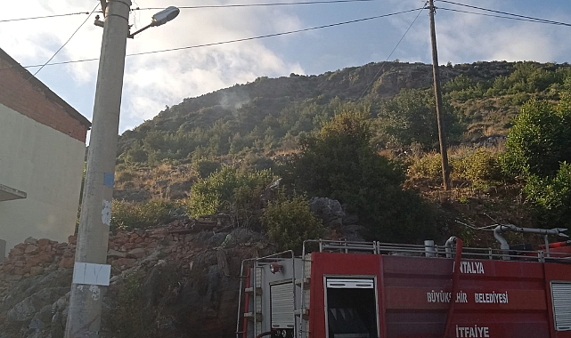 Alanya’da orman yangını