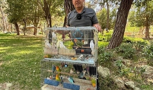Antalya'da papağan operasyonu: 41 papağan ele geçirildi