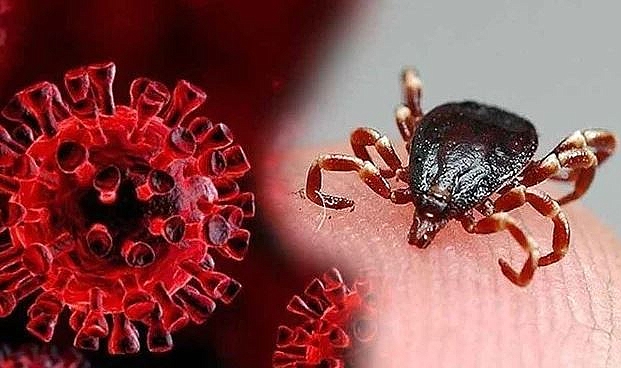 Bahar aylarının korkulu rüyası geri döndü: KKKA nedir nasıl korunulur?