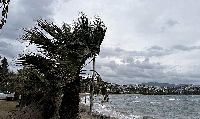 Bodrum'da feribotlara 'fırtına' engeli