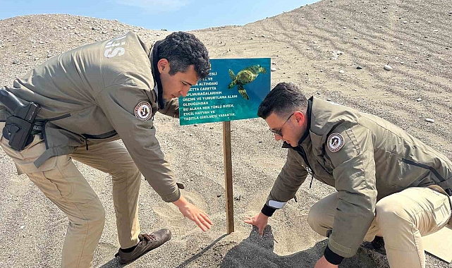 Caretta carettaların üreme alanlarına uyarı levhaları asıldı