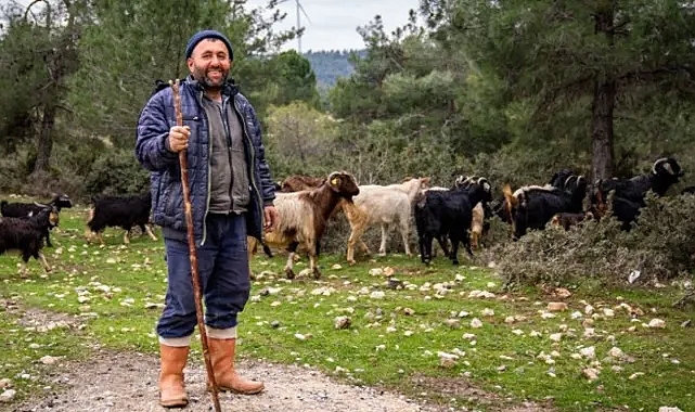 Çoban Haritası nedir? Ne işe yarar?