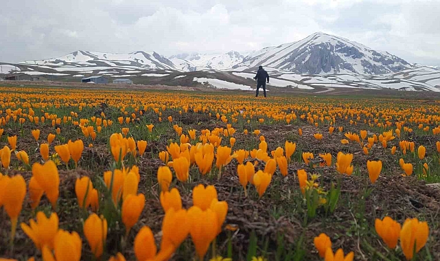 Eğrigöl tabii güzellikleriyle hayran bırakıyor