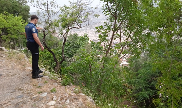 Kekik toplarken yüksekten düşen adam yaralandı