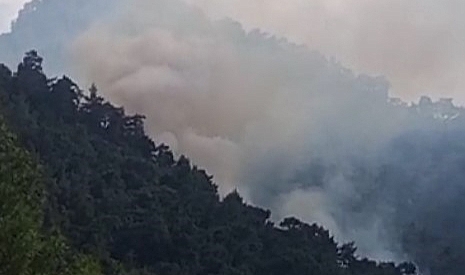 Kemer’deki orman yangını kontrol altına alındı
