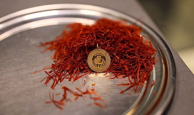 Kilosu 600 bin lira olan safranın bir avucu ile 1 gram altının fiyatı eşitlendi
