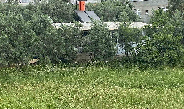 Konteynerinin bulunduğu arazi satılan kadın sokakta kaldı, gözyaşlarına boğuldu