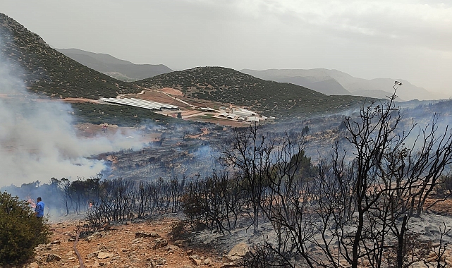 Korkuteli'de çalılık yangını