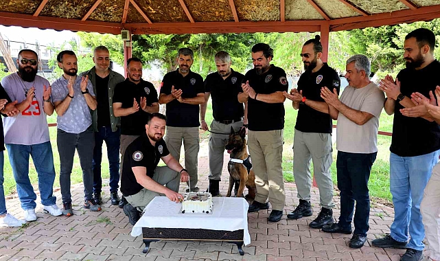 Narkotik köpeği Hulk'un 7'nci yaş günü pasta kesilerek kutlandı