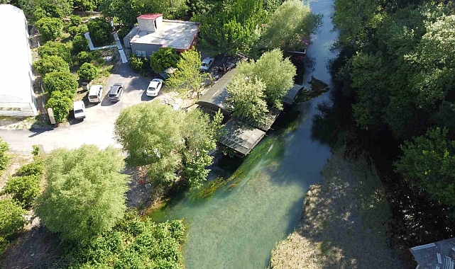 Portakal Çiçeği Karnavalı coşkusu Kozan'ı da sardı