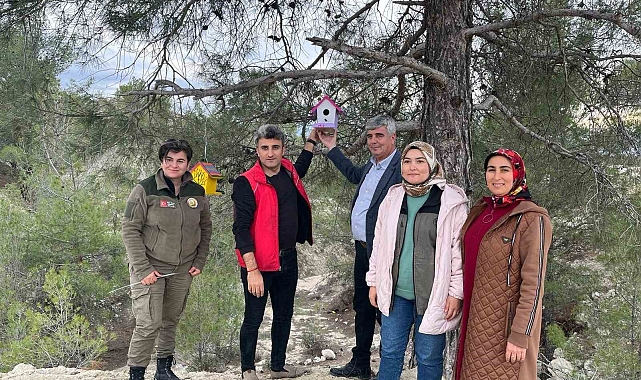 Rengarenk kuş yuvaları ormanı süsledi