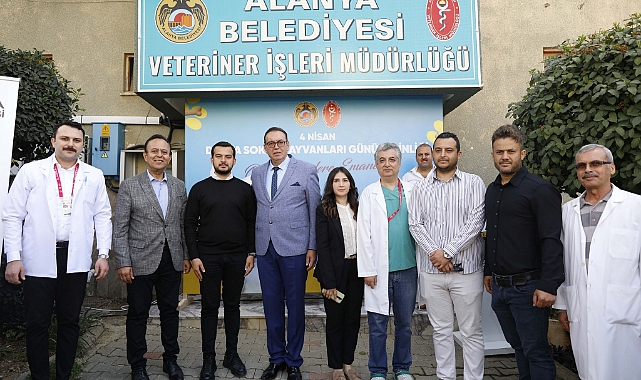 Sokak hayvanları için anlamlı etkinlik