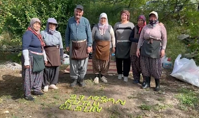 Tarım işçileri 23 Nisan'ı erik hasadı yaparken kutladılar