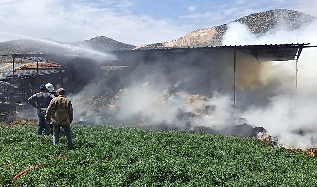 Tarım makinesini kurtarmak isterken yanarak yaralandı