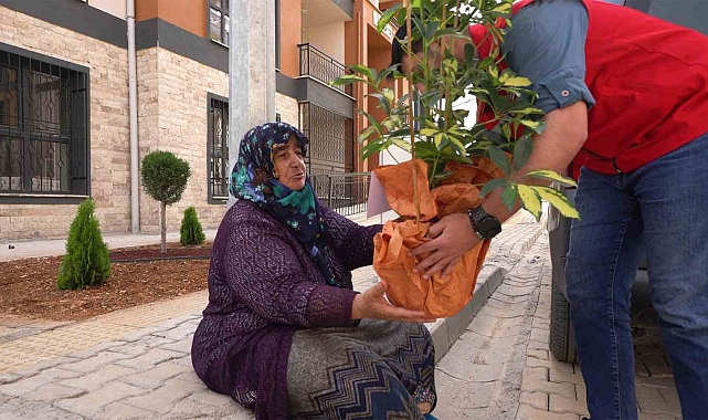 Tebrik çiçekleri depremzedelerin yuvalarını süslüyor