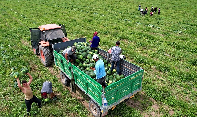 Adana karpuzunun marka değeri timlerle korunuyor