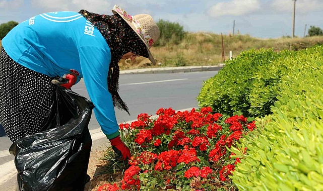 Alanya'da 571 bin 250 adet mevsimlik çiçek toprakla buluştu