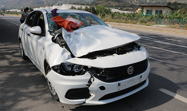 Alkollü sürücünün otomobille çarptığı kadın hayatını kaybetti