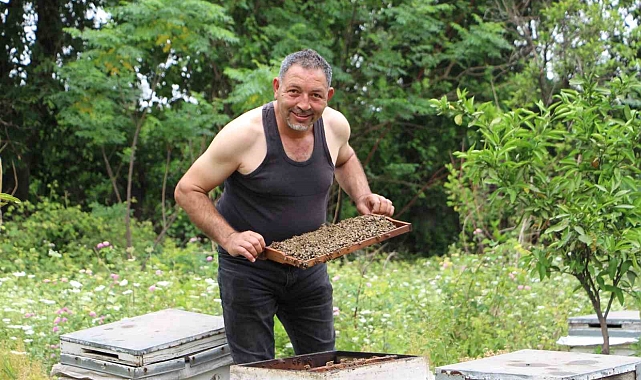 'Arılarım beni tanıyor' diyen arıcı, yaptığıyla binlerce arıya meydan okuyor