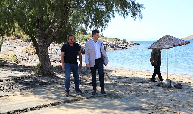 Bodrum'da plajlarda temizlik ve düzenleme çalışması
