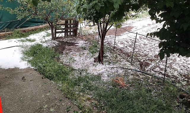 Bucak'ta dolu zararı