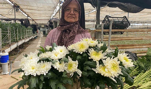 Çiçek üreticileri Anneler Günü'ne hazırlanıyor