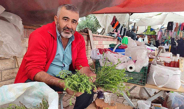 Dağlardan topladığı kekikler geçim kaynağı oldu