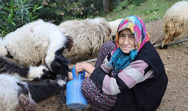 Hayatta kalan tek oğluna 40 yıldır bebek gibi bakıyor