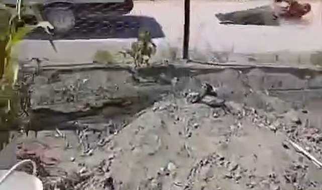 Köpek yüzünden tartıştığı kişiyi iple otomobilin arkasına bağlayıp sürükledi
