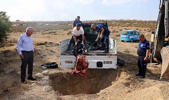 Menşei belirsiz 500 kilo et ele geçirildi