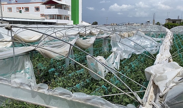 Mersin'de şiddetli fırtına seralara zarar verdi