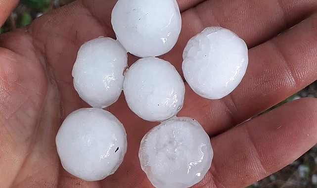 Mersin'de yağmur ve dolu bahçelerde zarara yol açtı