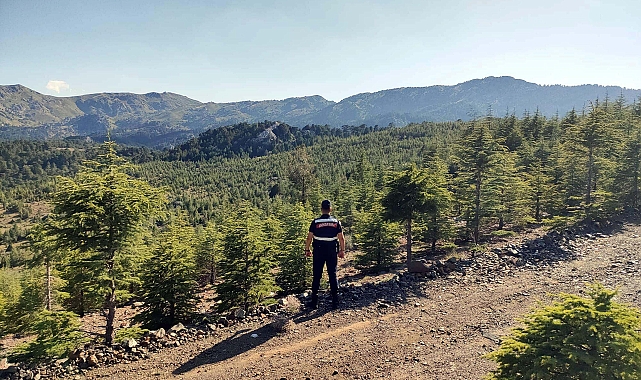 Muğla'da ormanlara giriş yasaklandı