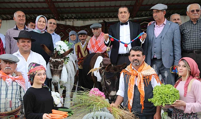 Nesli tükenmesin diye eşeklere sembolik düğün