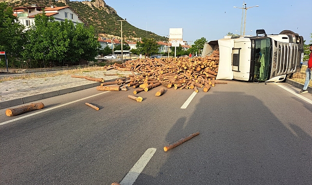 Odun yüklü TIR devrildi