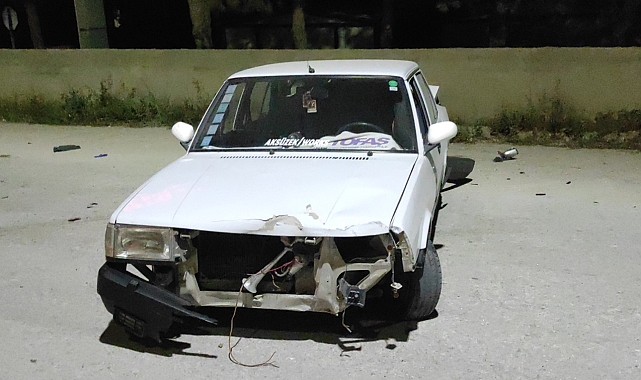 Otomobil refüje çıktı: 2 yaralı