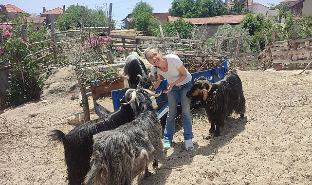 Tilki öldürdüğünü ihbar eden komşuya darp iddiası