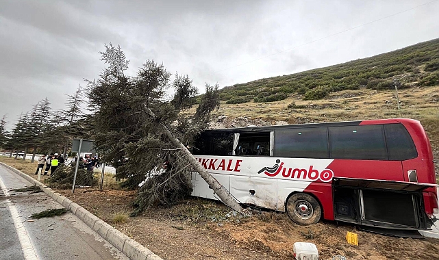 Yolcu otobüsü ağaca çarptı: 11 yaralı